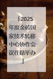 2025年度金砖国家技术转移中心协作会议在昆举办