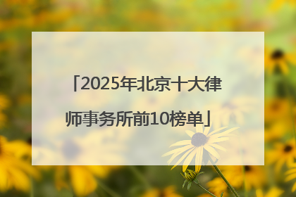 2025年北京十大律师事务所前10榜单