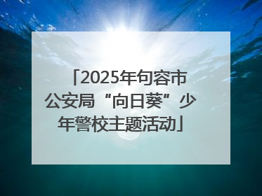 2025年句容市公安局“向日葵”少年警校主题活动