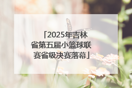 2025年吉林省第五届小篮球联赛省级决赛落幕