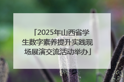 2025年山西省学生数字素养提升实践现场展演交流活动举办