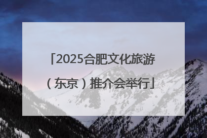 2025合肥文化旅游（东京）推介会举行