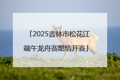 2025吉林市松花江端午龙舟赛燃情开赛