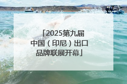 2025第九届中国（印尼）出口品牌联展开幕