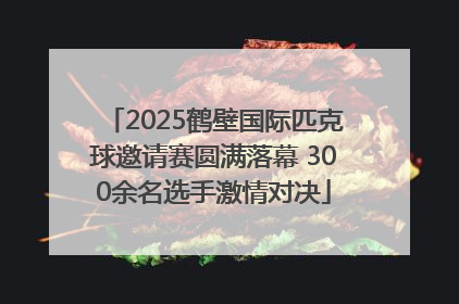 2025鹤壁国际匹克球邀请赛圆满落幕 300余名选手激情对决