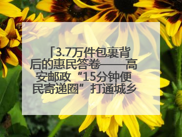3.7万件包裹背后的惠民答卷——高安邮政“15分钟便民寄递圈”打通城乡服务末梢