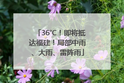 36℃！即将抵达福建！局部中雨、大雨、雷阵雨
