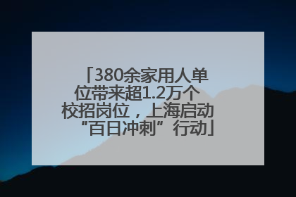 380余家用人单位带来超1.2万个校招岗位，上海启动“百日冲刺”行动