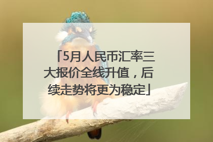 5月人民币汇率三大报价全线升值，后续走势将更为稳定