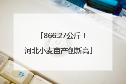 866.27公斤！河北小麦亩产创新高