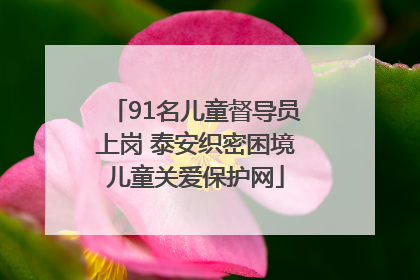 91名儿童督导员上岗 泰安织密困境儿童关爱保护网