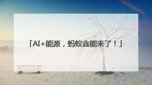 AI+能源，蚂蚁鑫能来了！