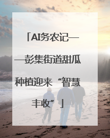 AI务农记——彭集街道甜瓜种植迎来“智慧丰收”