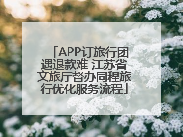 APP订旅行团遇退款难 江苏省文旅厅督办同程旅行优化服务流程