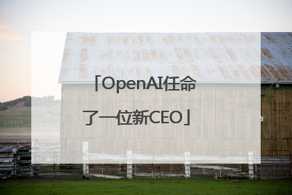 OpenAI任命了一位新CEO
