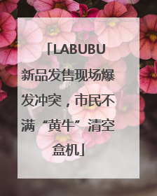 LABUBU新品发售现场爆发冲突，市民不满“黄牛”清空盒机