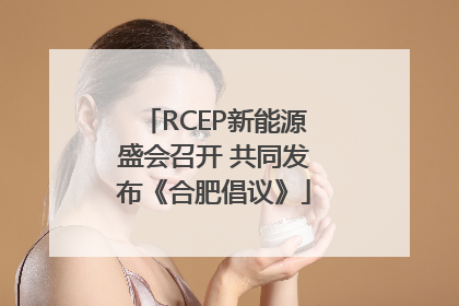 RCEP新能源盛会召开 共同发布《合肥倡议》